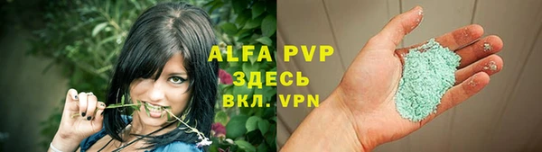индика Семёнов