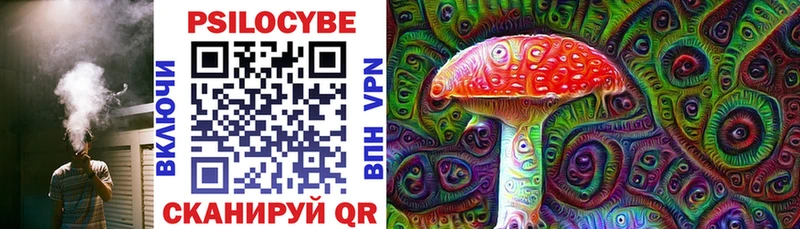 хочу наркоту  Ершов  Псилоцибиновые грибы Cubensis 
